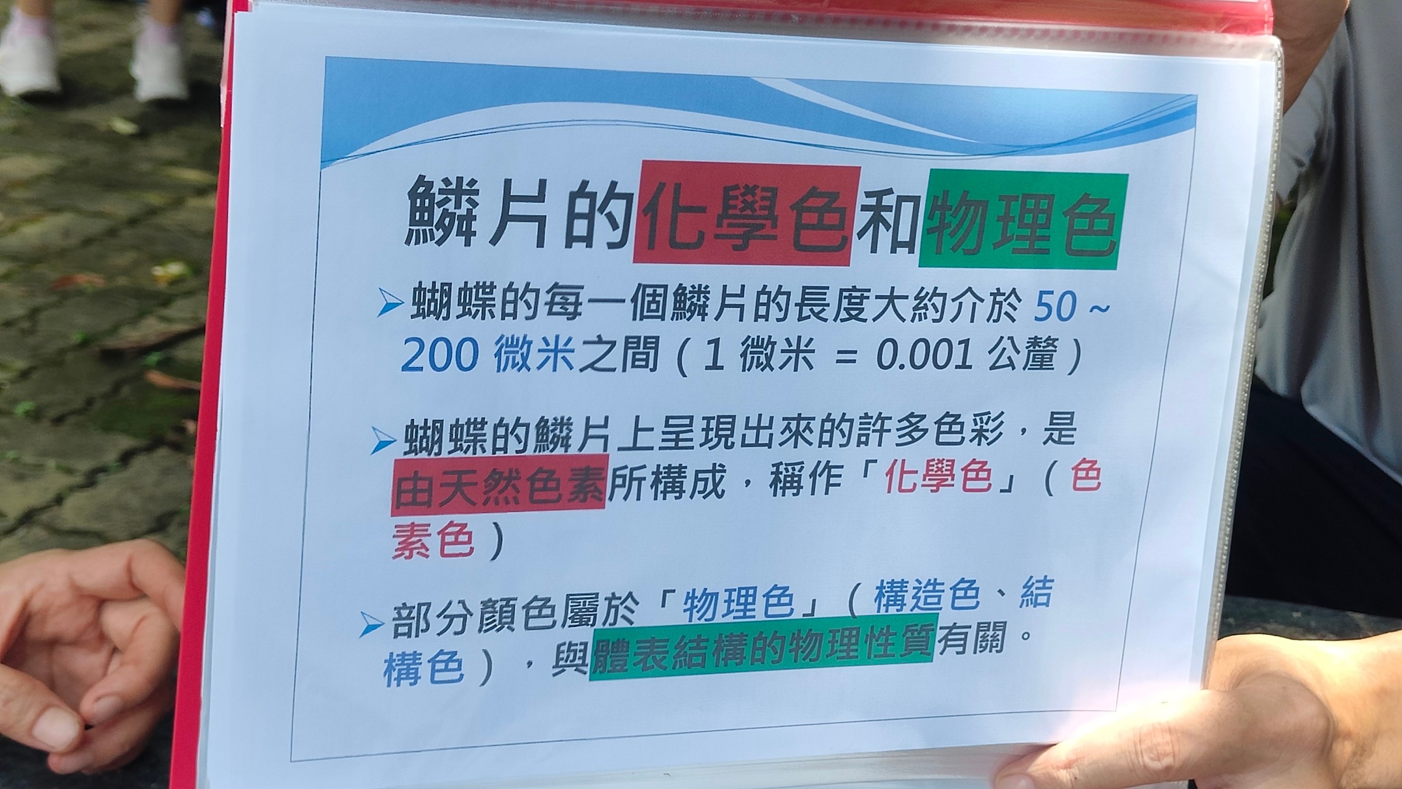 1130704-輔導團培力研習 相簿縮圖